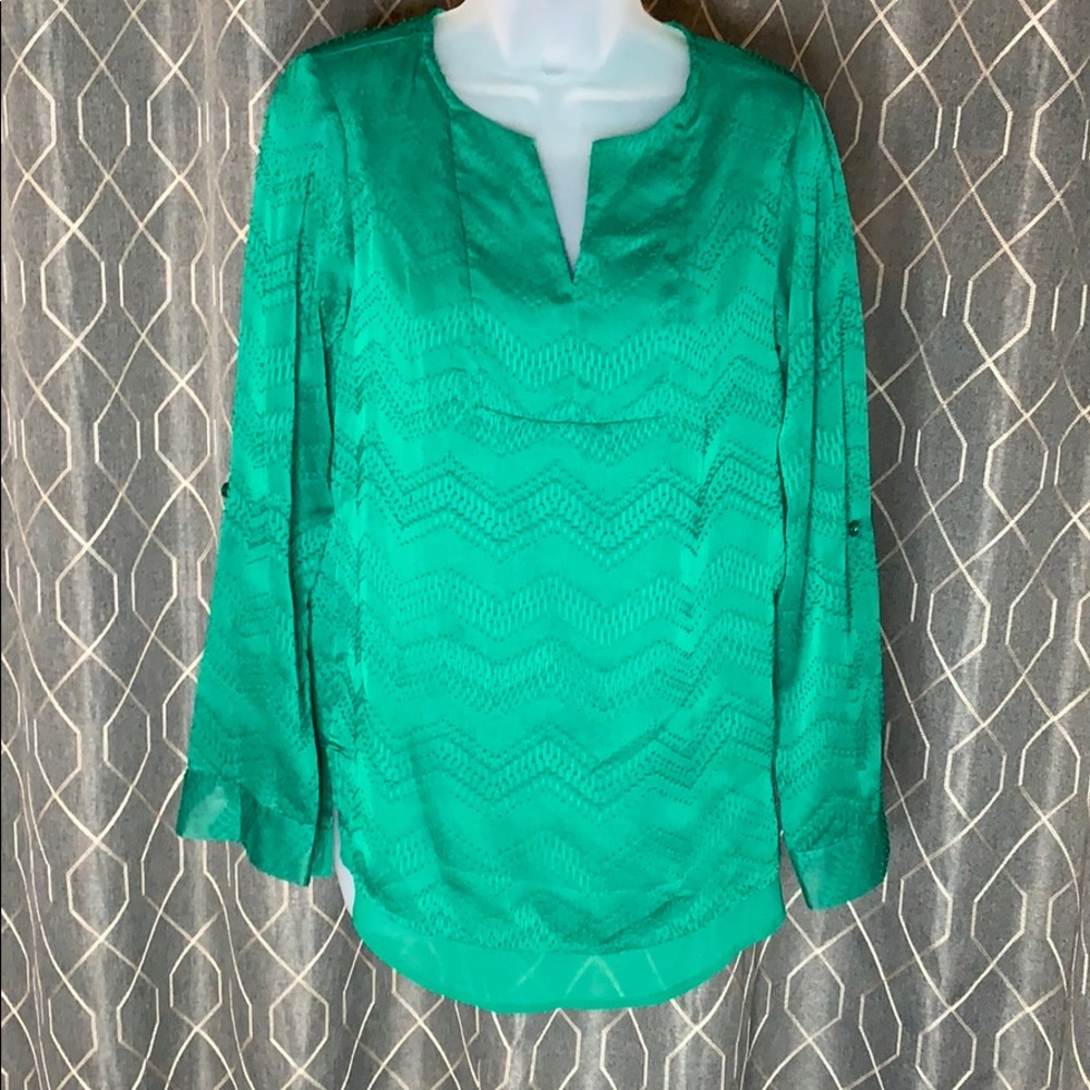 The Limited Green Blouse
